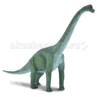 Collecta Фигурка динозавра Брахиозавр Collecta Фигурка Брахиозавр L 88121b