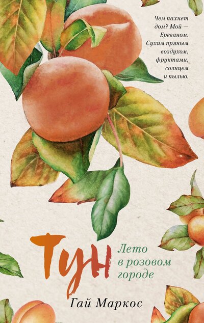 Книга: Clever Тун. Лето в розовом городе (Гай Маркос) 978-5-00154-730-3