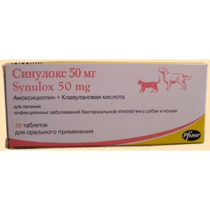Синулокс 250 Мг Купить