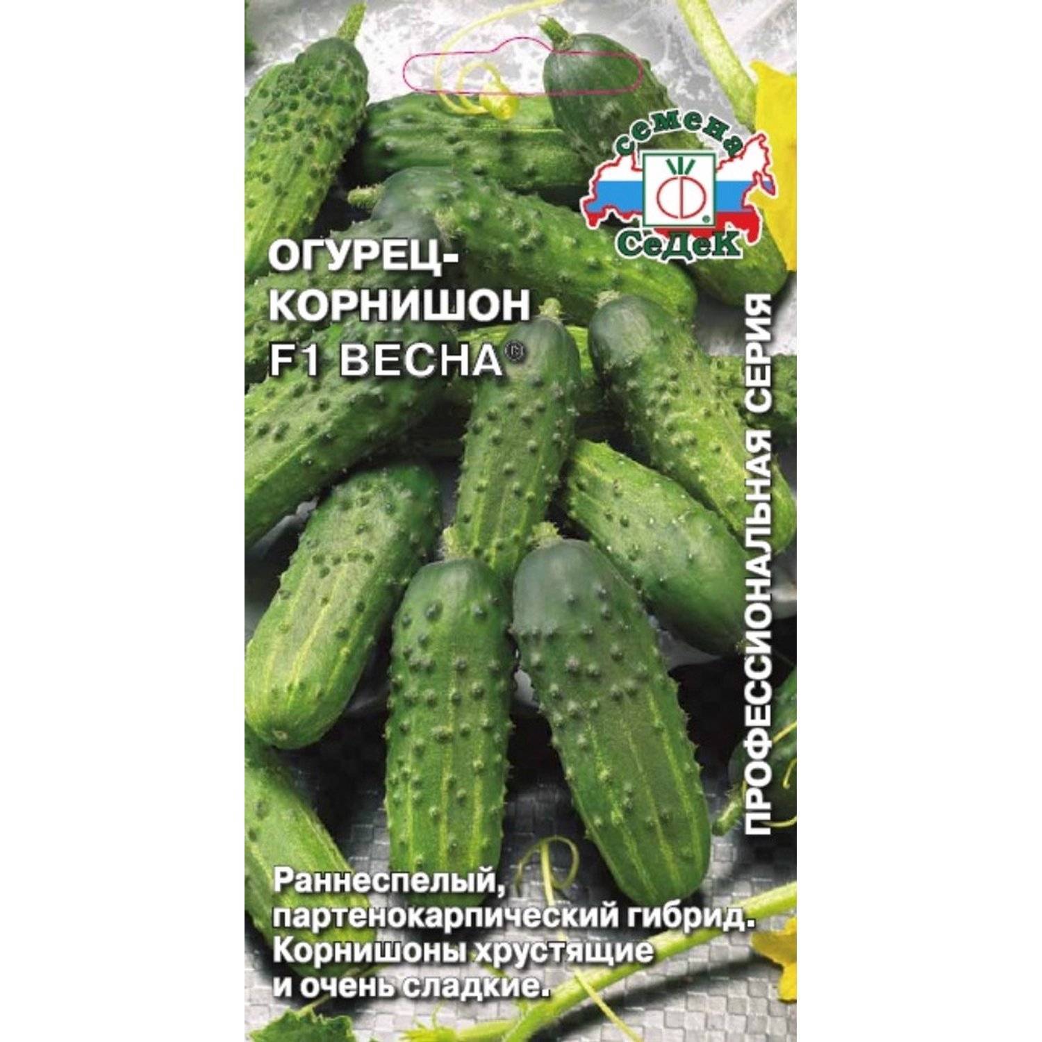 Купить Семена Огурцов Конни