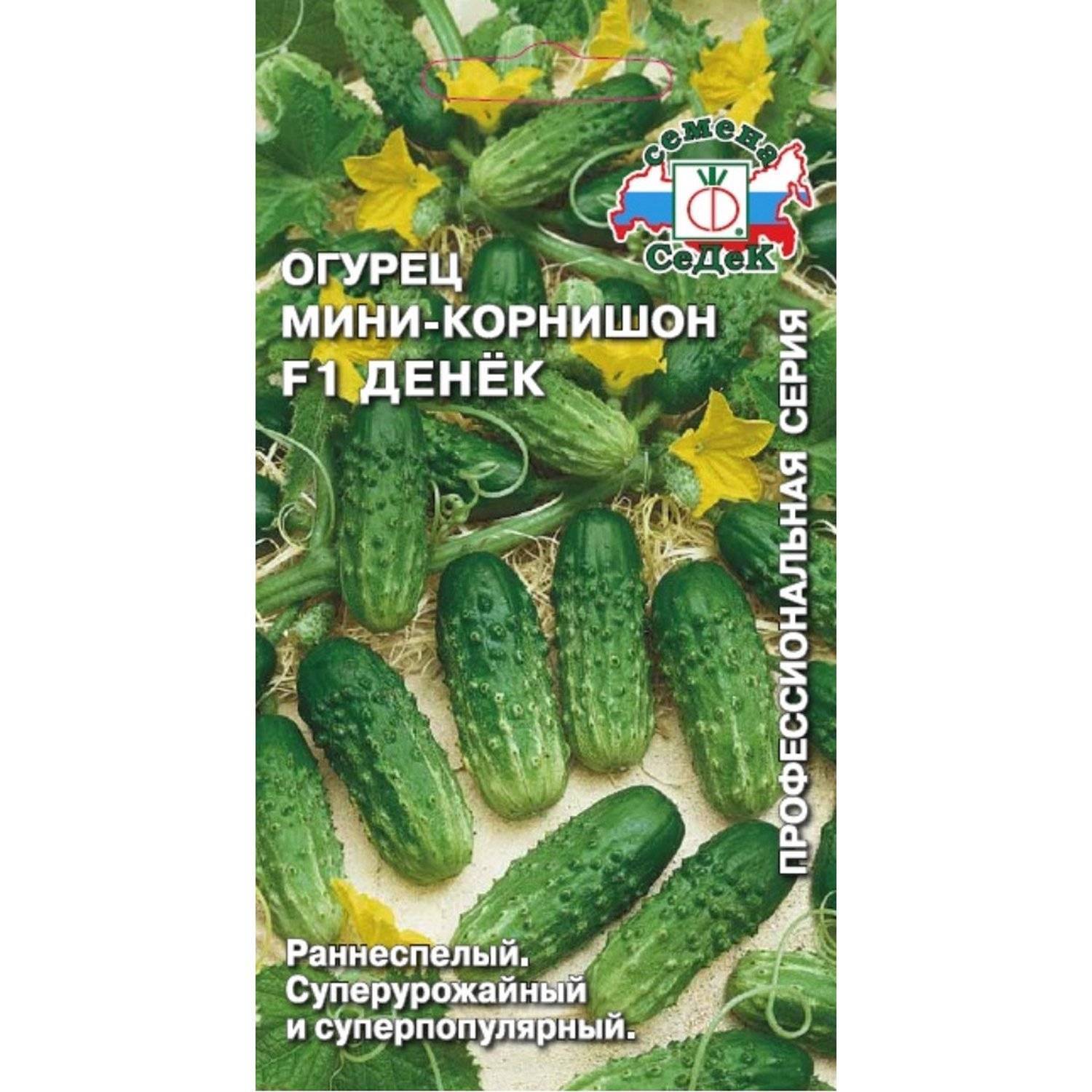 Конамор Огурец Купить Семена