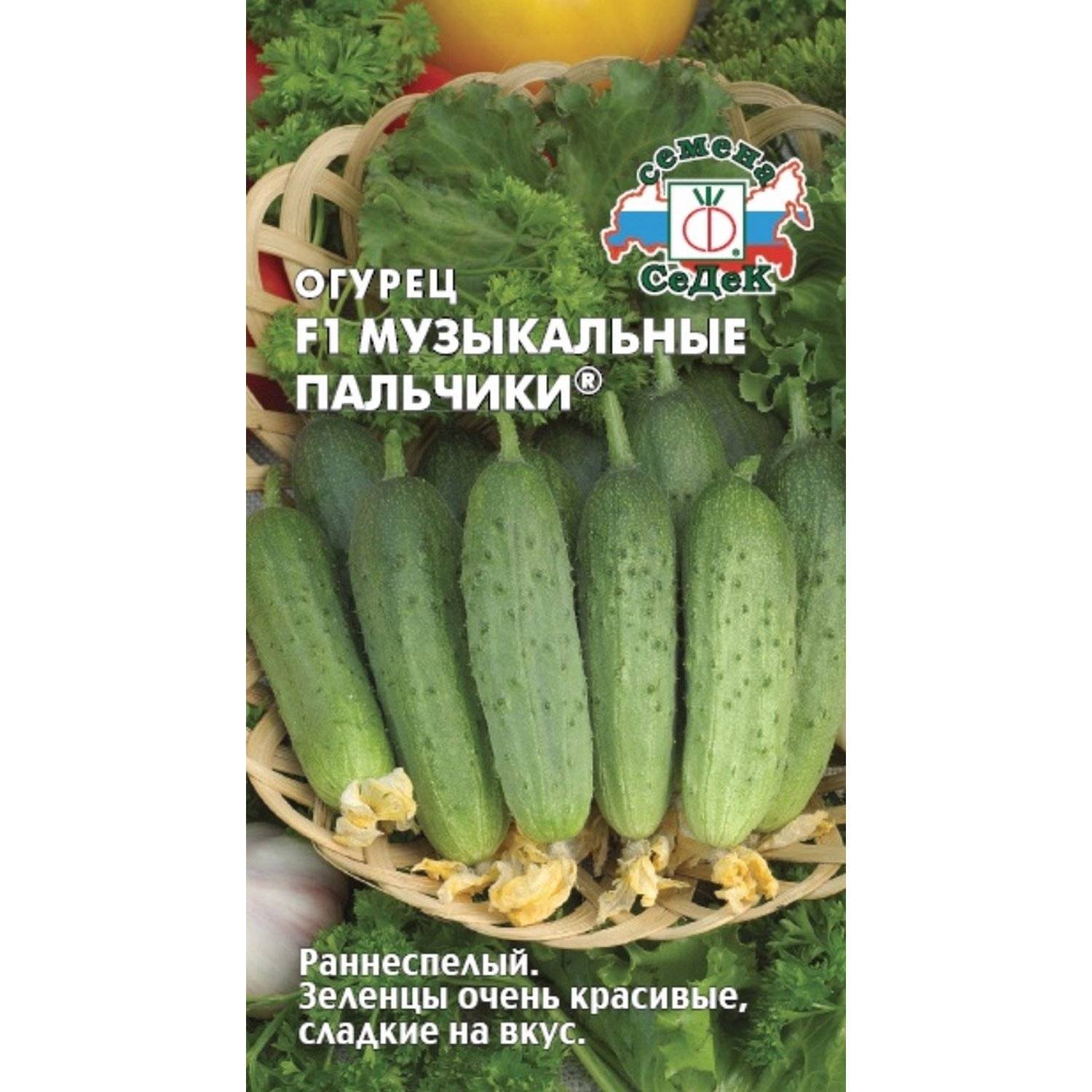 Огурцы Пальчики Отзывы Фото
