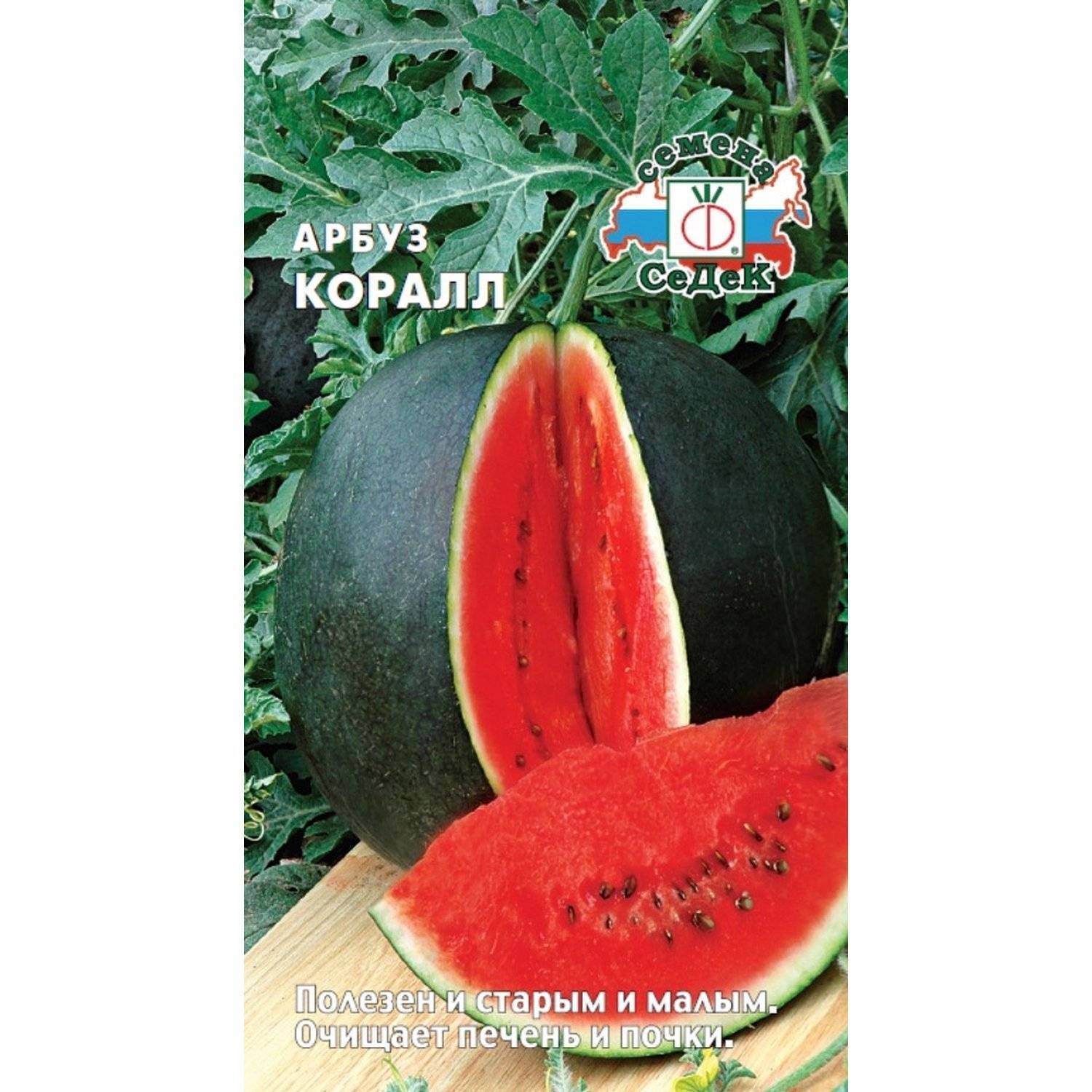 Где Купить Семена Арбуза И Сколько Стоят
