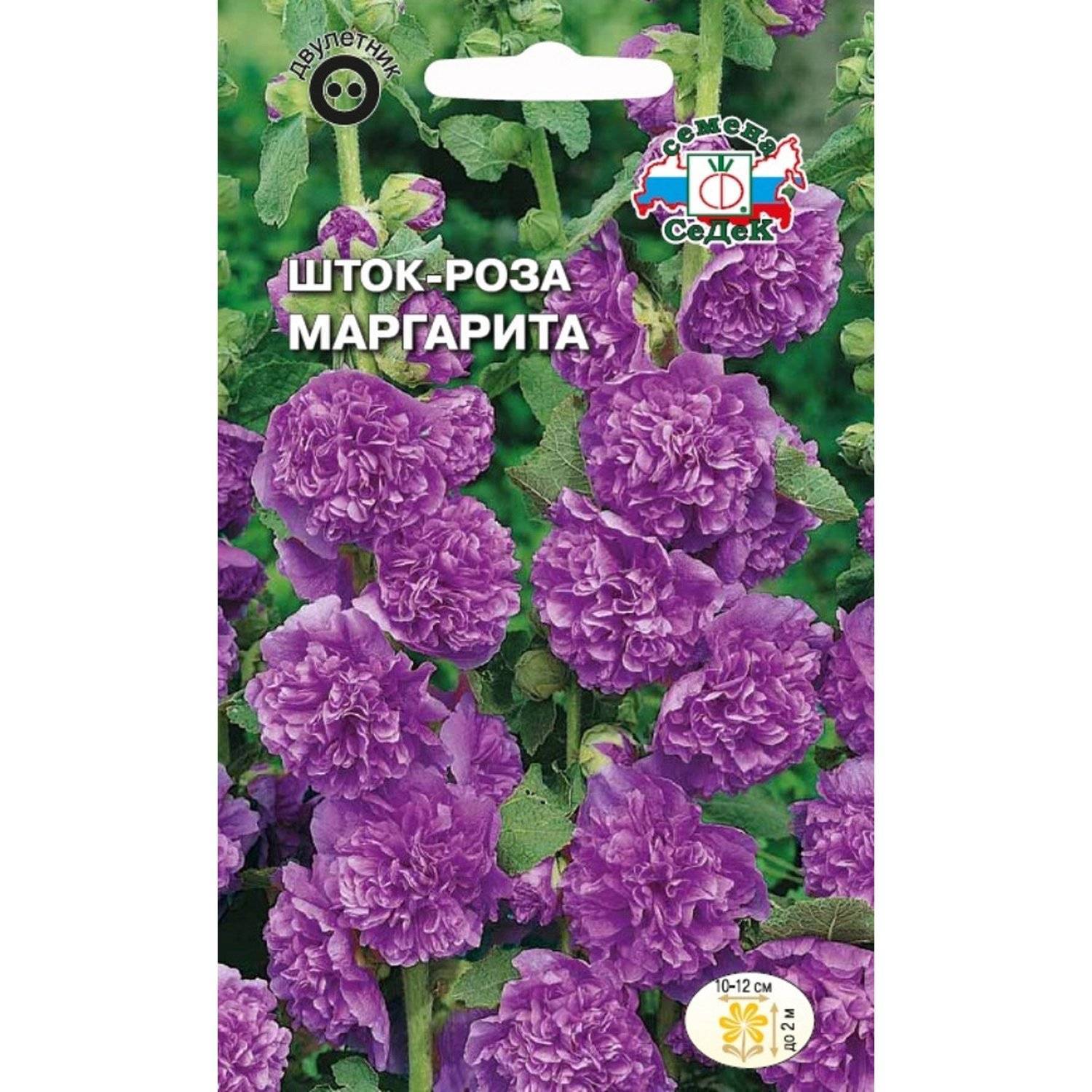 Купить На Озоне Семена Мальвы