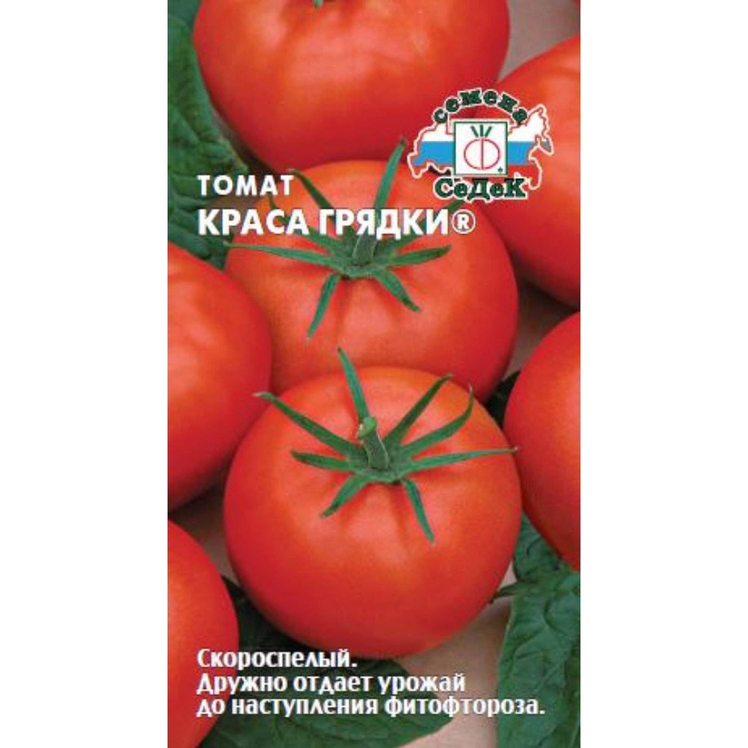 Помидоры краса. Томат Краса грядки. Томаты СЕДЕК. Томат Краса грядки урожайность. Томат Краса грядки характеристика и описание.