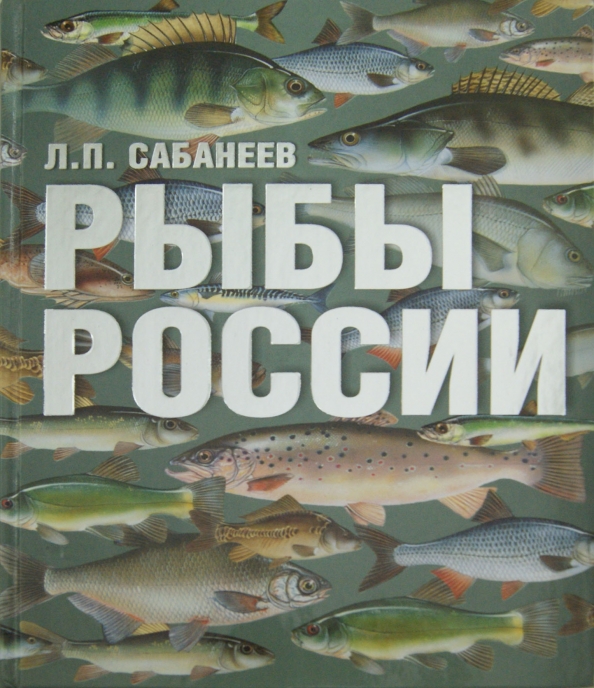 Жизнь пресноводных рыб сабанеев