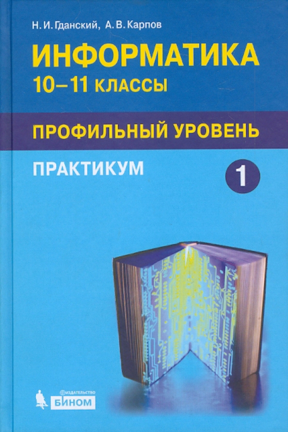 Практикумы по информатике 10. Информатика 10-11 класс практикум Бином. Информатика по информатике 10-11 практикум задачник. Информатика 11 класс профильный уровень. Информатика 10 класс профильный уровень.