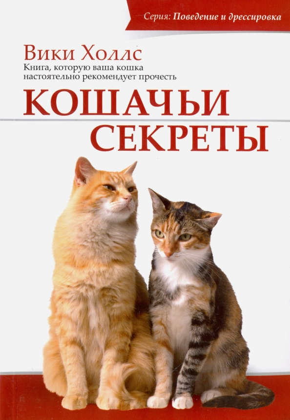 Секрет кота. Кошачьи книги. Книги про кошек. Книга кошачьи секреты. Кошачьи тайны книга.
