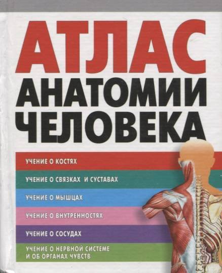 Атлас Анатомии Человека Курепина Воккен Купить