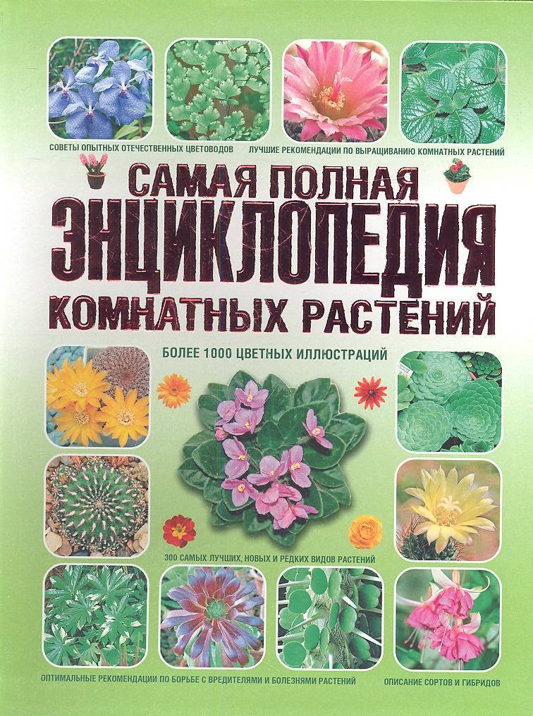 Купить Книгу Энциклопедия