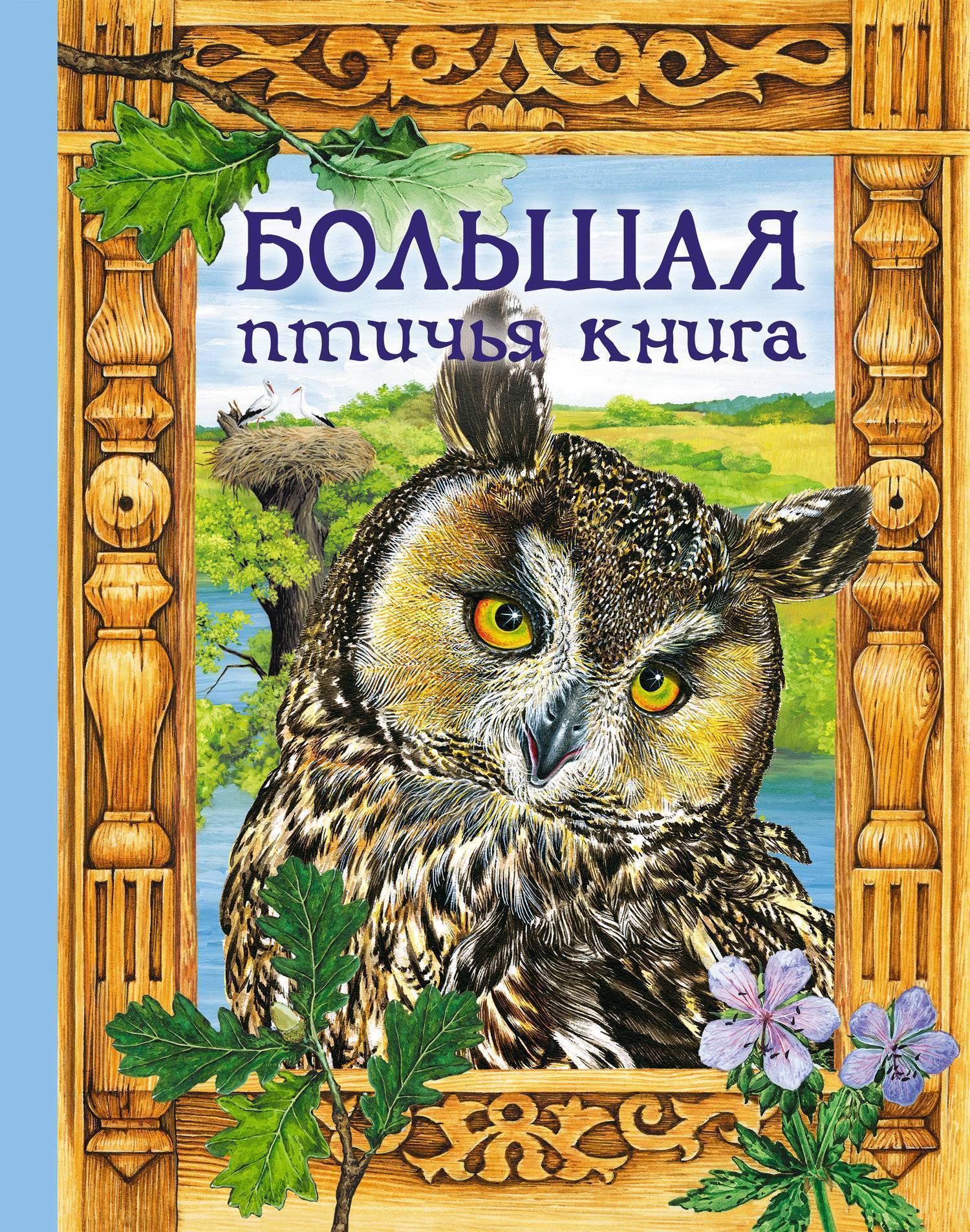 Книги о птицах. Книги о птицах Художественные. Книги о птицах для детей. Художественные произведения про птиц для детей. Книги о птицах для детей Художественные.