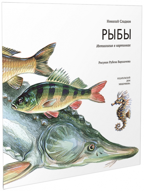 Большая рыба книга. Книга рыбы названия. Обложка для рыбной книги. Книга 3d рыбы. Книги о рыбе и ее свойствах авторы.
