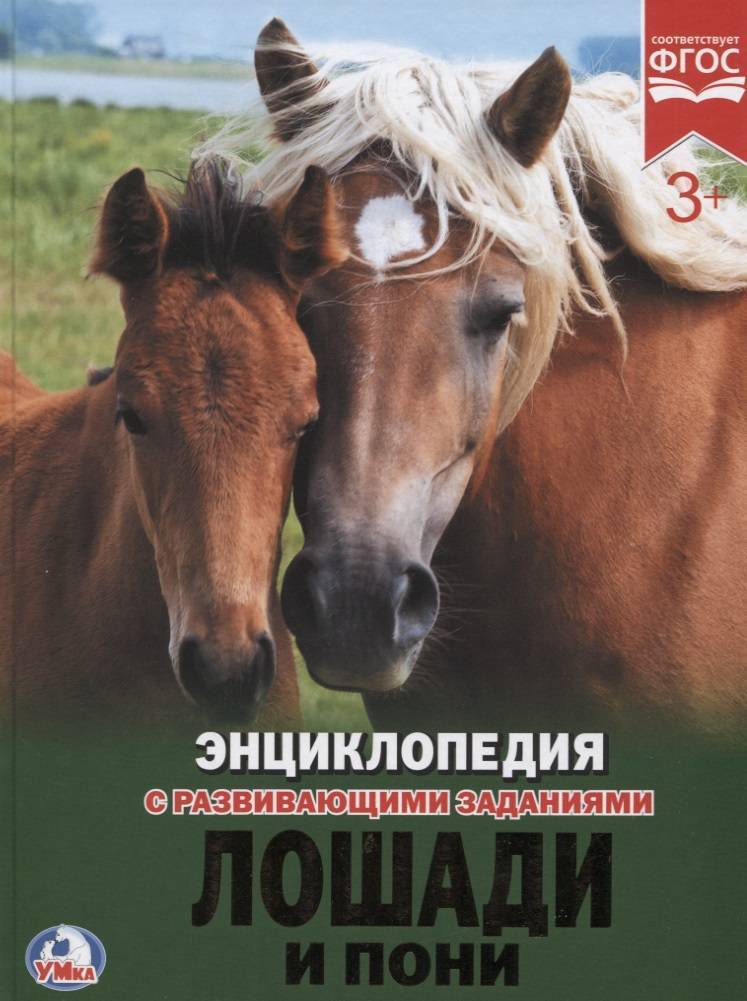 Невзоров Лошади Энциклопедия Книга Купить В Москве