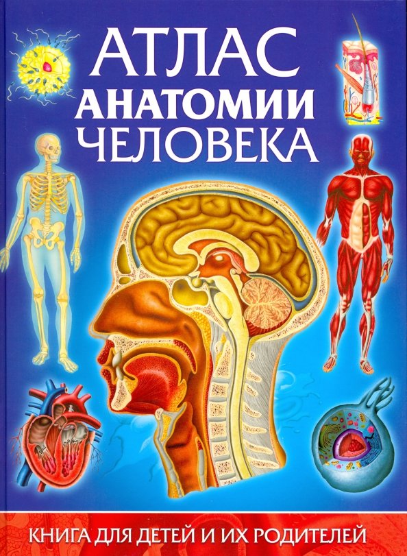 Энциклопедия медицины анатомический атлас