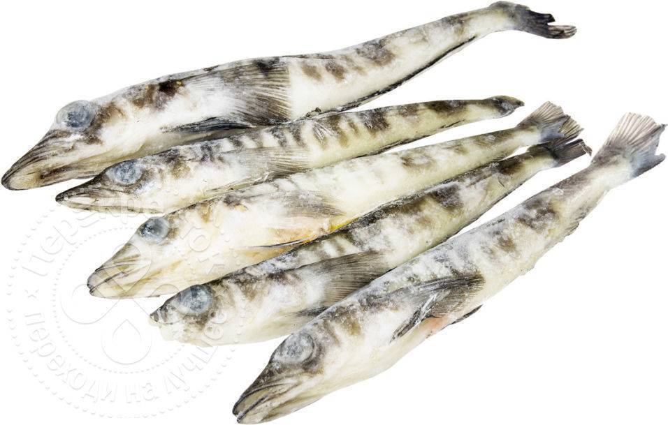 Ледяная Рыба Цена