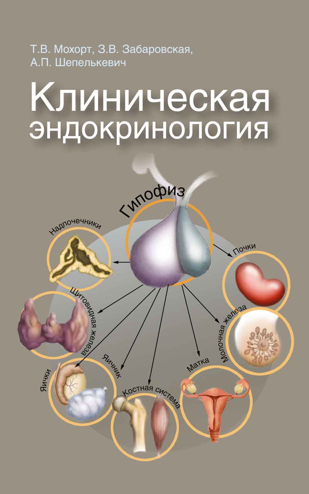 Область эндокринологии