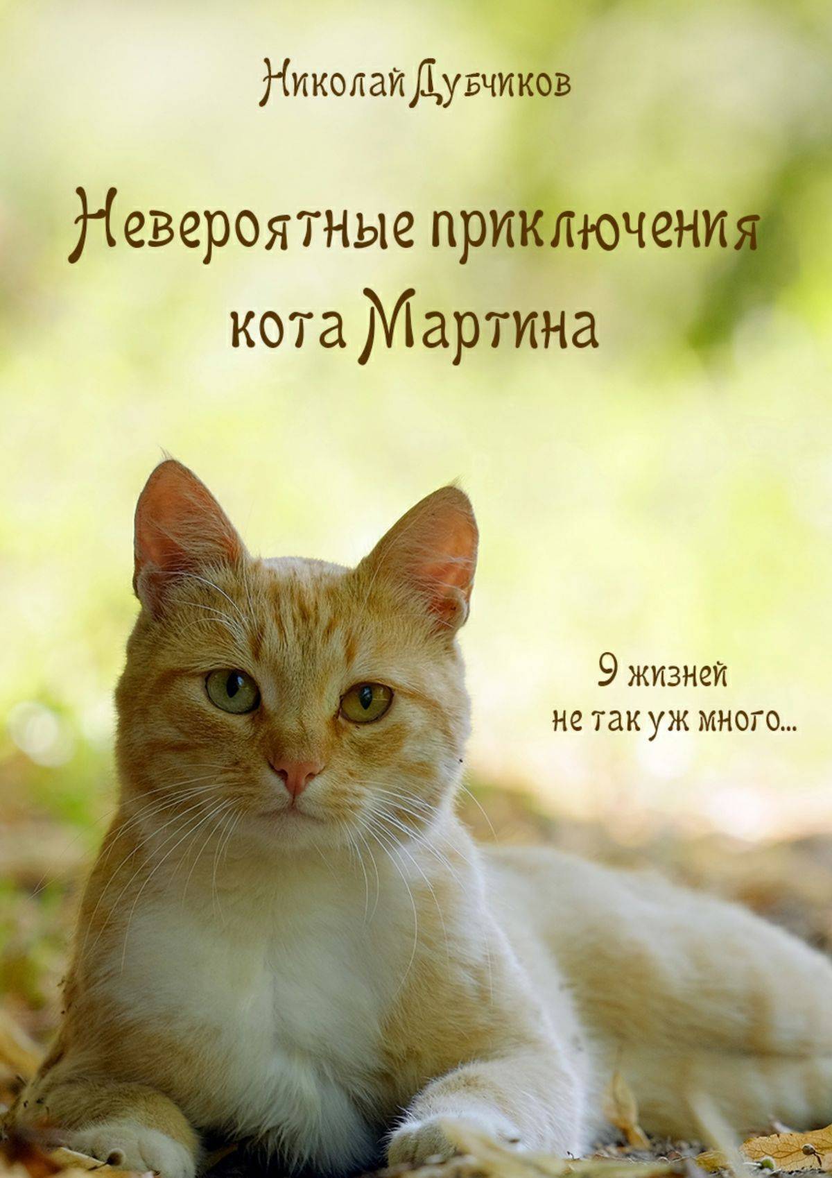 Книга невероятное приключения. Невероятные приключения кота. Кошачьи приключения. Приключения рыжего кота.