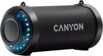Как разобрать колонку canyon Отзывы о Canyon CNE-CBTSP7 черный на CMP24 - SKU7305645