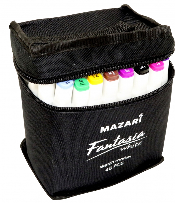 Пластиковый контейнер для маркеров. Маркеры touch raven 60 шт. Маркеры для скетчинга двусторонние набор. Набор маркеров для скетчинга 262 цвета. Маркеры тоуч кул 80 цветов.